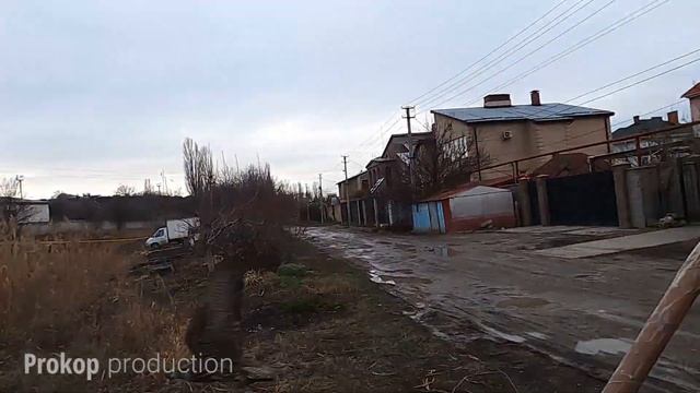 тренування сокола балабана.тренировка сокола балобана.saker falcon training.セーカーハヤブサの訓練