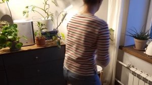 НОВЫЙ СТЕЛЛАЖ для растений / Весенние цветочные ПЕРЕСТАНОВКИ