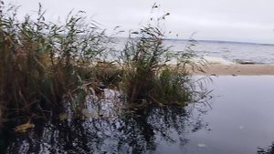 отдых на Волге 05.10.23