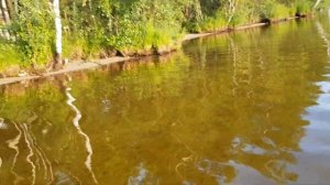Ивановская обл. Рубское озеро. Уникальное лесное озеро ,чистейшая вода!