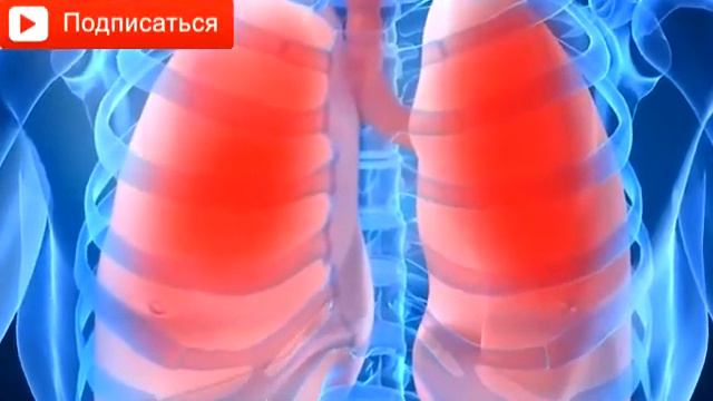 Зачем развивать мозг ? смотреть онлайн