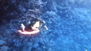 Дайвинг в Египте