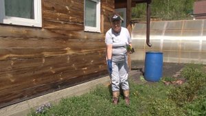 Голова садовая - Борьба с грызунами