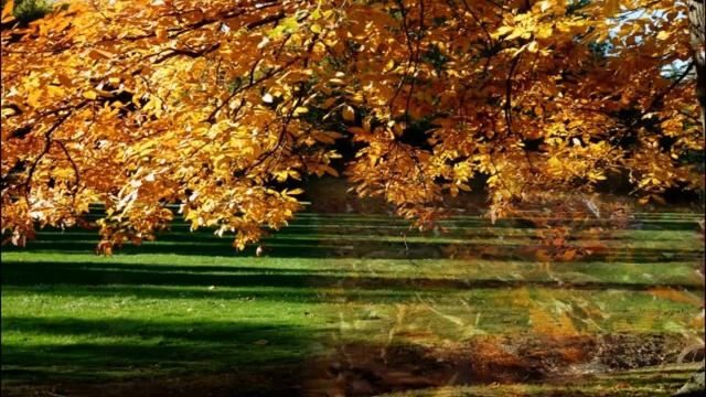 Осень -время мечтать.Стихи Евгении Ренар. смотреть онлайн