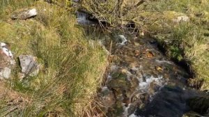 16. Необычайная красота и звуки Уэльса. Outstanding beauty of Wales.