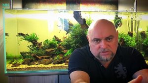 Аквариумные удобрения.