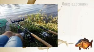 Секреты ловли карпа летом в знойную жару! Как профессионалы ловят карпа в жару?