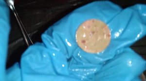 Чистка СЕРЕБРЯНЫХ Монет средством ZL, ЧЕСТНЫЙ ОБЗОР!