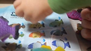 Распаковка Рыб-хамелеонов