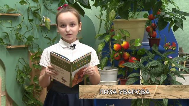 Книжная полка 16 выпуск смотреть онлайн