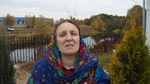 116 сонет, англ и рус смотреть онлайн