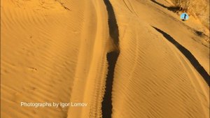 Красота пустыни Кара-Кум. Загадочный Туркменистан