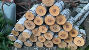 ОТКУДА ДРОВИШКИ? Из леса вестимо.Валежник на дрова для бани.