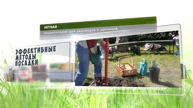 HITSADTV Энциклопедия для садоводов и огородников!