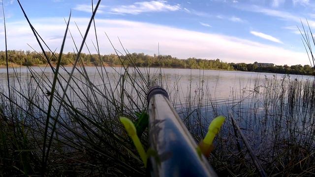 Рыбалка на поплавок в ИЮНЕ! Ловля карася на мега речки! смотреть онлайн