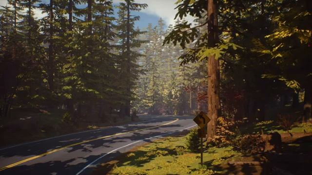 Life Is Strange Ambient Music - Forest Walk смотреть онлайн