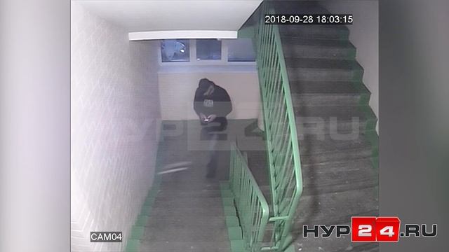 "Поиск" закладок в подъезде. Новый Уренгой смотреть онлайн