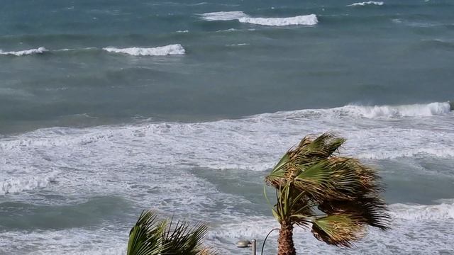 Набережная Нетании, Израиль - 19.12.2021 - Netanya, Israel смотреть онлайн