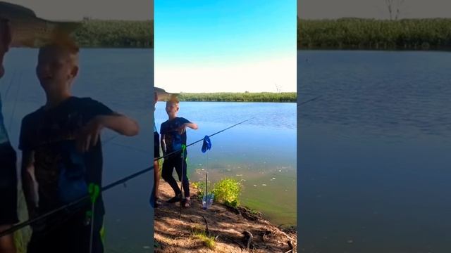 Бешеный клев сазанов #shorts #fishing #отдых #природа #рыбалка