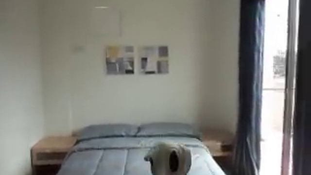 amiya rosa scarlet смотреть онлайн