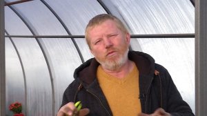 ВЫРАЩИВАНИЕ КУСТОВЫХ ХРИЗАНТЕМ. Ответы на популярные вопросы