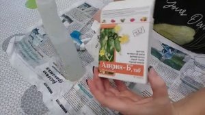 Размножение роз методом Буррито. Часть 1