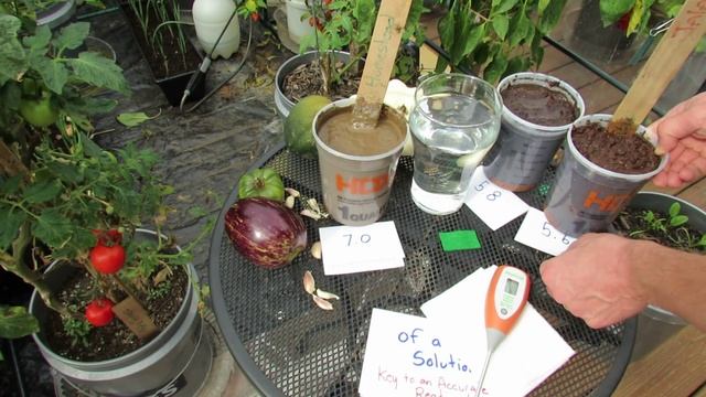 What is Vegetable Garden Soil pH and How to Use a Digital pH Meter - The Rusted Garden 2013 смотреть онлайн