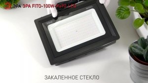 Фитопрожектор для растений светодиодный ЭРА FITO-100W-Ra90-LED для цветения полного спектра