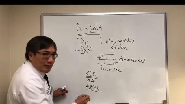 Патофизиологические основы амилоидоза