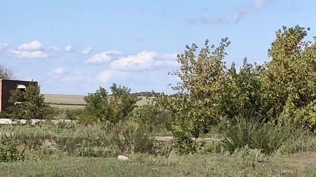 НАШЛИ ЖУТКУЮ КУКЛУ возле заброшки / 4 ЧАСТЬ !? / До чего довели покатушки смотреть онлайн