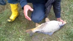 Сазан 5,4кг.  рыбалка. в забайкальском крае Чита Carp Fishing 5,4kg
