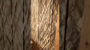 Купил квартиру в сталинке. Ремонт. 1 день