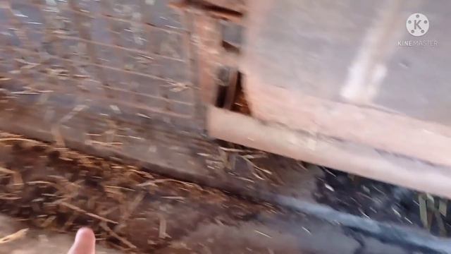 Дела Идут Все на Месте смотреть онлайн