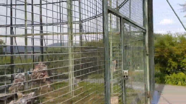 Красноярск Роев Ручей смотреть онлайн