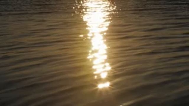 Успокаивающая музыкальная медитация. не перебивайте человека, когда он в сотый раз рассказывает.... смотреть онлайн