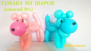 Собачка из шаров. Мастер класс. Твистинг. Balloon dog. Balloons. DIY. Hand made. How make