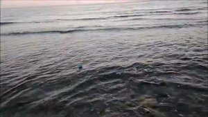 Запускаю бумажный кораблик | Paper boat