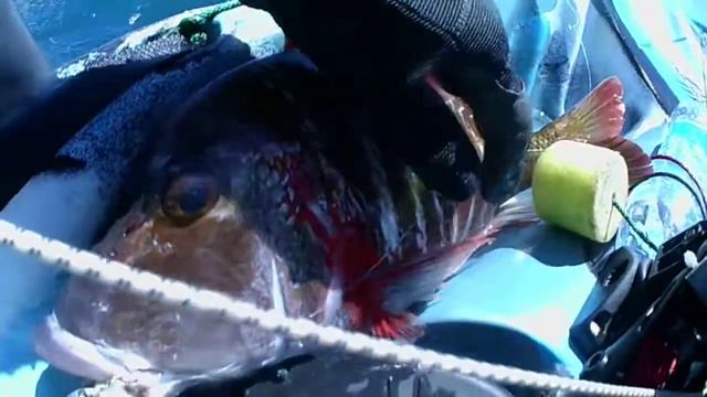 FEELFREE NOMAD FISHING KAYAK BERRY смотреть онлайн