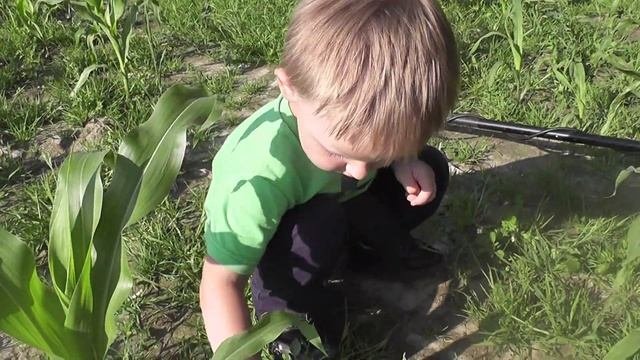 МАЛЕНЬКИЙ КЛАДОИСКАТЕЛЬ. МАЛЫШ С ПАПОЙ ИЩУТ КЛАД.