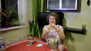 211_Огурцы. Три новых необычных сорта.
