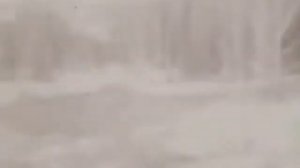 Где-то багульник на сопках цветёт -- Тамара Миансарова