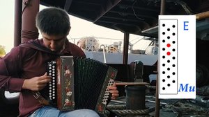 ПЕСНИ ПОД ГАРМОНЬ | РАЗБОР БЕЛАЯ БЕРЕЗА | кавер на гармони