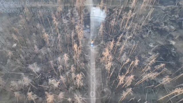 🔥 Эпичный сброс по пикапу ВСУ в Серебрянском лесничестве !!!