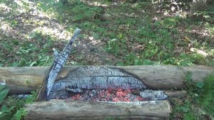 "КАК ПРИГОТОВИТЬ ЗМЕЮ или ГОЛОД НЕ ТЕТКА"!!! Пошаговый рецепт при ВЫЖИВАНИИ!