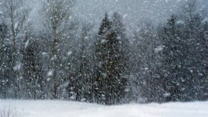 Г.Свиридов. Романс к повести А.С. Пушкина" Метель"