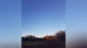 охота на рябчика и просто прогулка по лесу