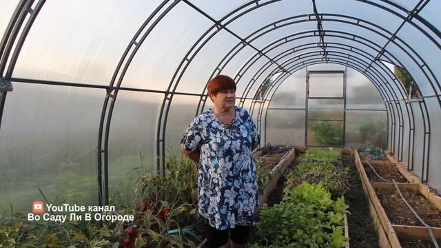 Попробуйте Этот Способ И Будете С Урожаем До Самых Морозов! смотреть онлайн