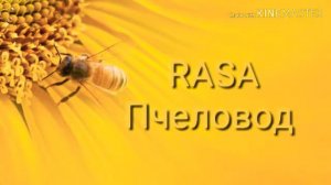 Пчеловод [RASA] Music.