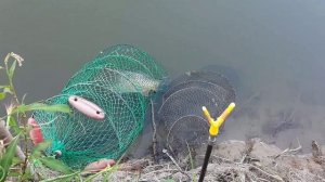 Рыбалка на реке