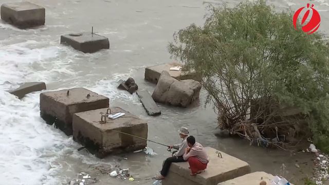 Река Душанбинка и ее обитетели смотреть онлайн